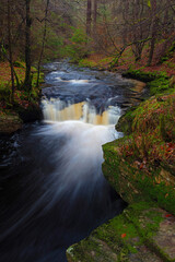 Fast flowing stream and waterfall, Hamsterley Forest, County Durham, England, UK.
