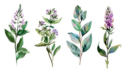 Wild field herbs flowers plants. Watercolor bouquet collection - illustration with green leaves, branches and colorful buds. Wedding stationery, wallpapers, fashion, backgrounds, prints. Generative Ai