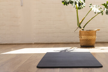 A yoga mat lies on a wooden floor in a sunlit room with copy space