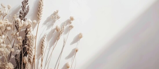 A close-up view of a bunch of dried flowers positioned near a wall. The withered petals and stems are visible in detail, contrasting with the neutral background.