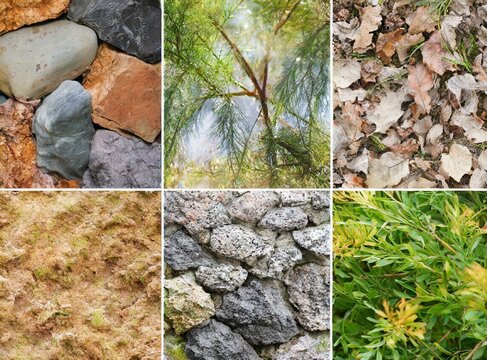 Collage of nature photography. Different natural textures.