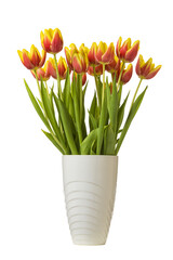 Bunch of vibrant tulips in vase isolated - 751354271