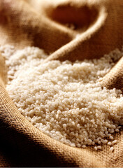 valencian rice grains in sack - 751354476
