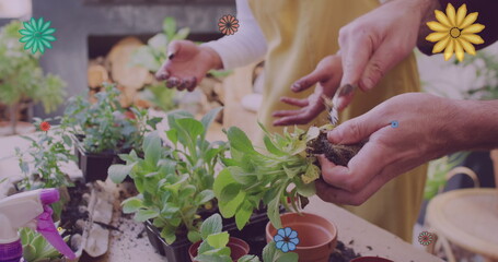 Image of flowers over happy diverse couple planting plants together