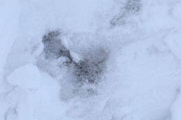 white and grey abstract snow image