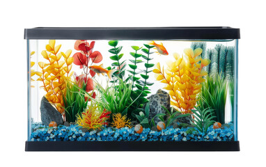 Elevating Home Aesthetics with the Aquarium On Transparent Background.
