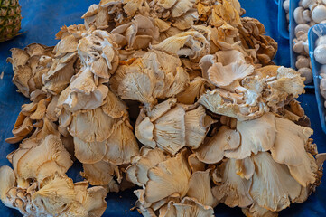 Mushroom displayed for sale on a market stall.