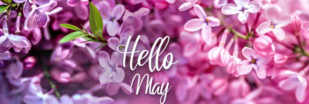Hello May hand lettering card. Spring lilac flowers texture, selective focus, blurred background. Panoramic