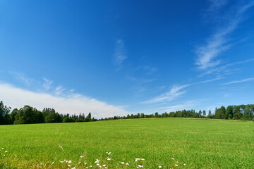 Open space with green field and blue sky with small white clouds