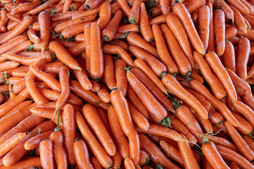 Carrots on display at the market stall.