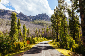 Gordon River Road Landscape in Tasmania Australia