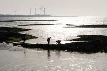 View of the seaside with the silhouettes of the people