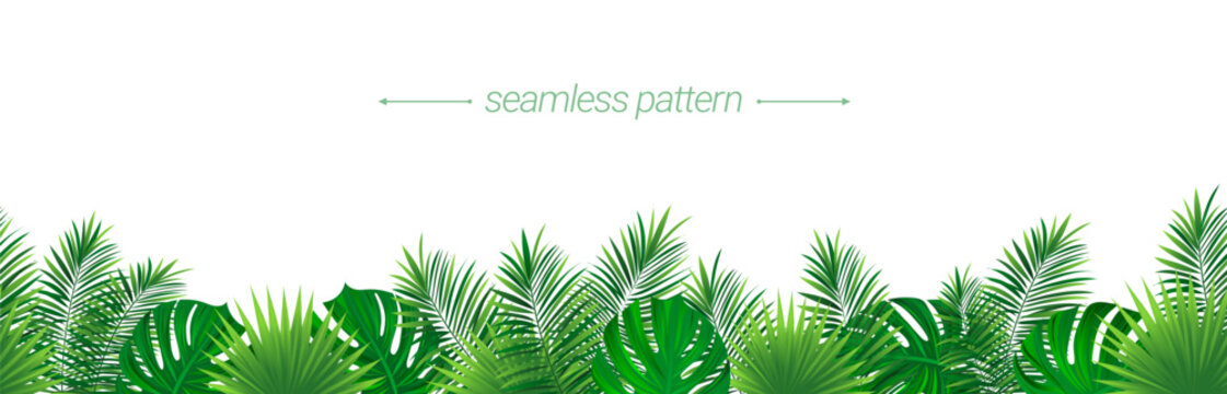 Rain forest foliage repeated wallpaper. Green tropical seamless border frame. Amazon floral vector illustration. Jungle plants template banner. Summer repeated background for travel, clothes prints