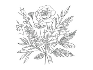 Botanical arts. hand drawn continuous line drawing of herbs,abstract flower, floral,ginkgo, rose, tulip,bouquet of olives. vector illustration.