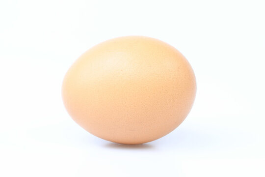 egg