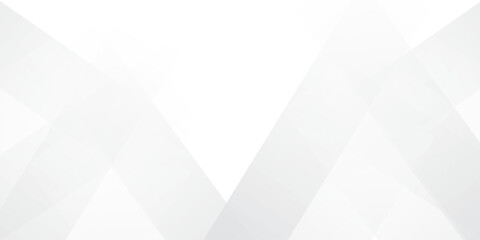 Obraz premium Abstract GREY white Geometric vector design background.