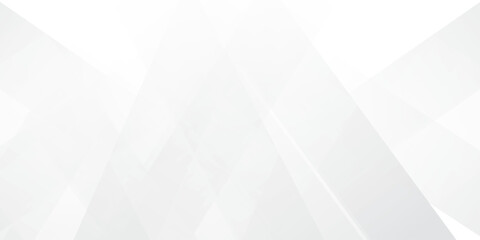 Obraz premium Abstract GREY white Geometric vector design background.