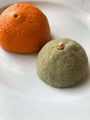 moldy orange on the plate.