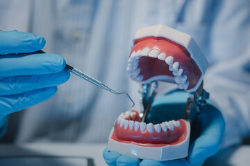 A dentist is using specialized dental equipment to inspect dentures to study the anatomy of the teeth before using the knowledge to treat patients, Dentures are being studied by oral specialists. - obrazy, fototapety, plakaty