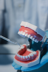 Fototapeta na wymiar A dentist is using specialized dental equipment to inspect dentures to study the anatomy of the teeth before using the knowledge to treat patients, Dentures are being studied by oral specialists.