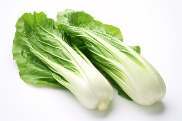 a pair of lettuce on a white background - obrazy, fototapety, plakaty