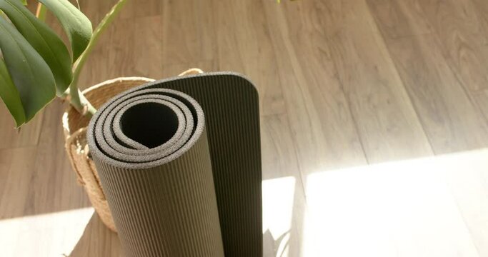 A rolled-up yoga mat rests beside a plant in a sunlit room with copy space