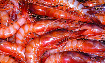 Recently Fished Red Shrimp, Fish Market, Mediterranean Sea, Aguilas, Murcia, Spain, Europe