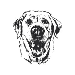 A happy smiling dog headshot vector line drawing