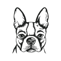 A realistic black and white vector illustration of a French Bulldog