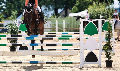 Horse, showjumping horse, close-ups in the show jumping competition.