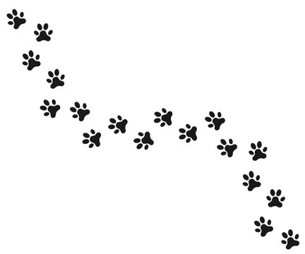 Paw prints. Dog's paw, cat paw, . Animal paw prints, different animals footprints black on white, vector  illustration EPS