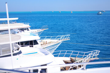 Fototapeta premium A port with moored yachts on the seashore