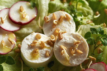 Closeup of vegetable salad with goat cheese, fenugreek sprouts and wild edible plant chickweed