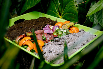 Compost and composted soil cycle as a composting pile of rotting kitchen scraps with fruits and...