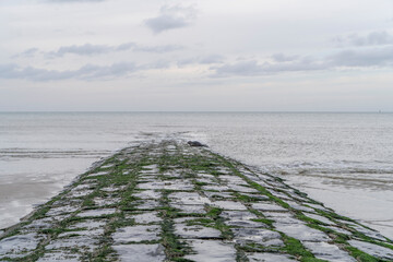 Tranquil moment captured: a wild seal finds solace on a breakwater in Middelkerke. Witness nature's...