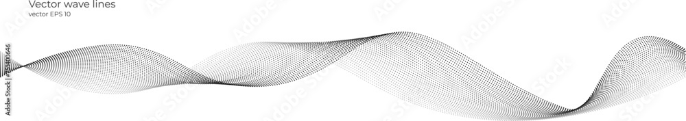 Leinwandbilder vector smooth dotted particles of musical lines. black and white abstract lines. sound waves on a tr