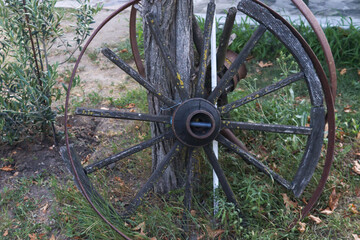 old wagon wheel in the woods