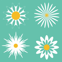 Set of daisy flowers icons isolated on Green background vector illustration.