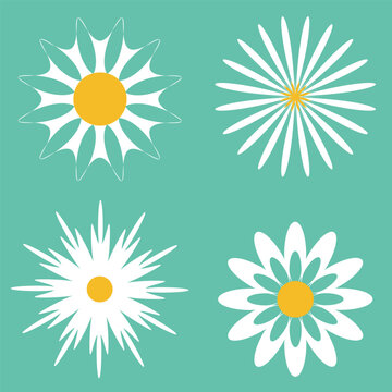 Set of daisy flowers icons isolated on Green background vector illustration.