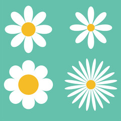 Set of daisy flowers icons isolated on Green background vector illustration.