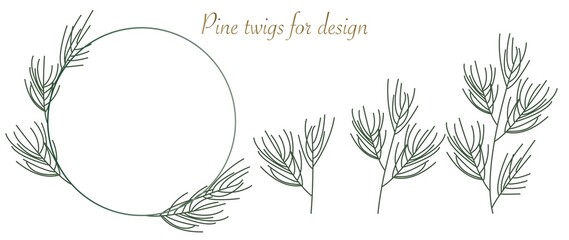 Flat illustration. Flat pine leaves. Set of branches. Gentle elegant. Suitable for invitation. The color is green. Isolated on white background for invitation design...