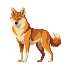 Dingo Illustration on White Background