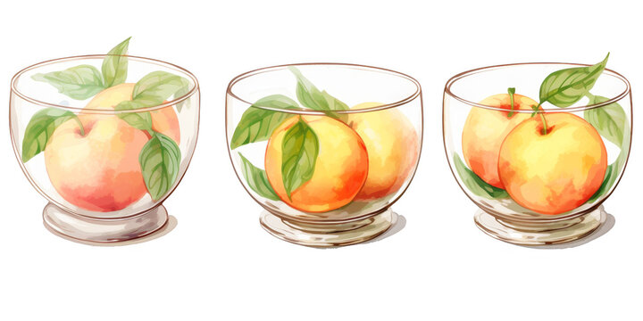 watercolor art of peach in glass bowl isolated on a white background as transparent PNG