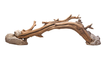 dry branch wood isolated on transparent background cutout - obrazy, fototapety, plakaty