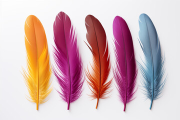 Colorful feathers on isolated on white background