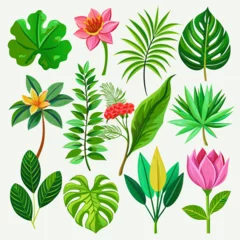 Fotobehang Tropische planten Exotic plants, including vibrant palm leaves and intricate monstera, adorn an isolated white background in this captivating watercolor vector illustration.