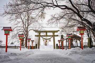 Naklejka premium 石狩八幡神社の風景