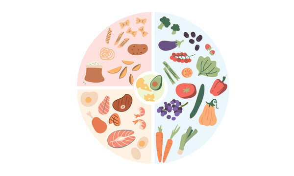 Foods infographics. Healthy eating plate. Infographic chart with proper nutrition proportions. Food balance tips.