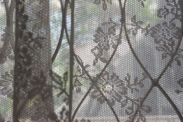 see through transparent curtains and curved steel of a window