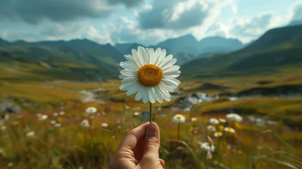 Foto op Plexiglas A hand holding a daisy against a background of mountains and a lake and a flowering meadow © Alina Zavhorodnii